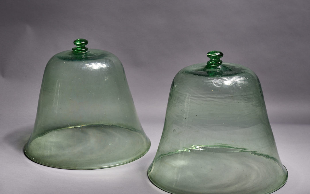 Glass Bell Jar – Cloche