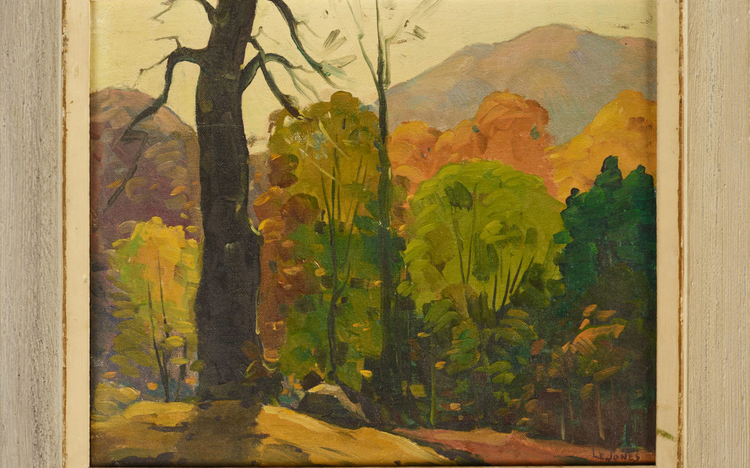 A Smoky Mountain Fall Landscape
